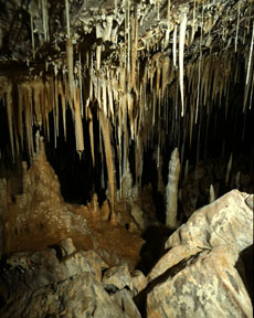 Kartchner Caverns State Park Arizona
