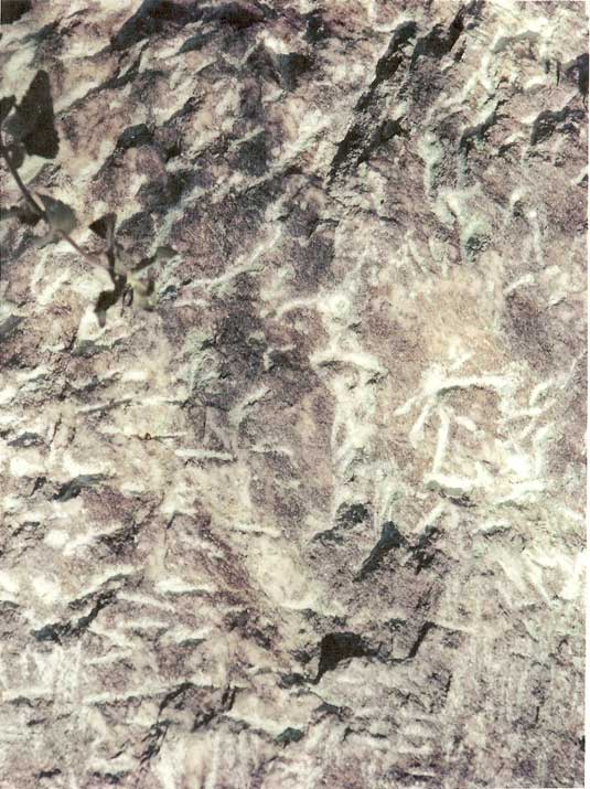 Oralce Rdige Monolith, Santa Catalina Mountains