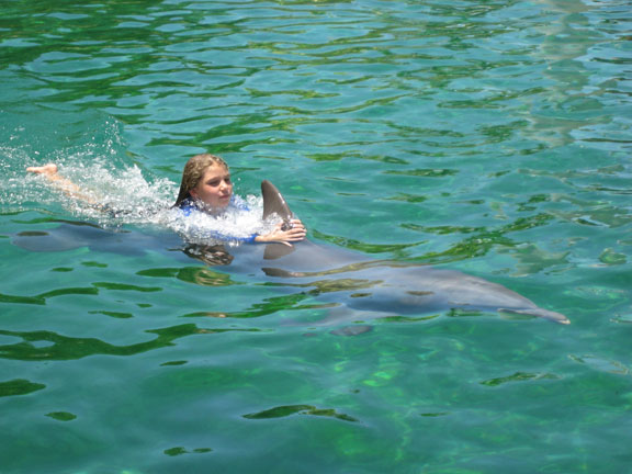 Swim with dolphins Florida