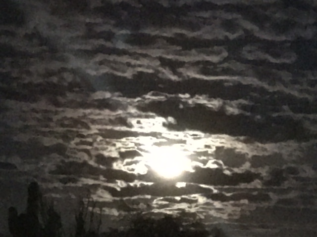 Tucson moonlight