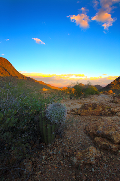 Gates Pass Chad Tucson by Might