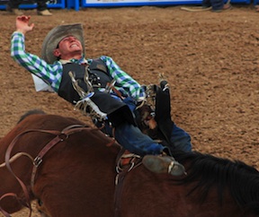 Tucson Rodeo 2015