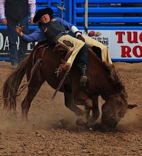 Tucson Rodeo 2015