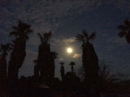 Tucson moonrise by Carolyn & James Barnett