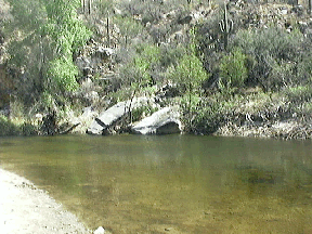 Sabino Canyon Tucson Arizona