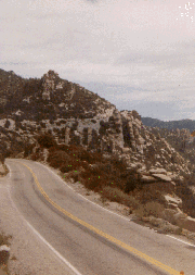 Mt. Lemmon road