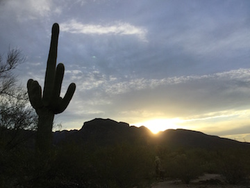 Sabino Canyon by James and Carolyn Barnett