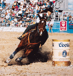 Tucson Rodeo