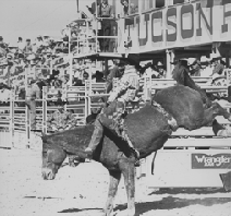 Historic Tucson Rodeo