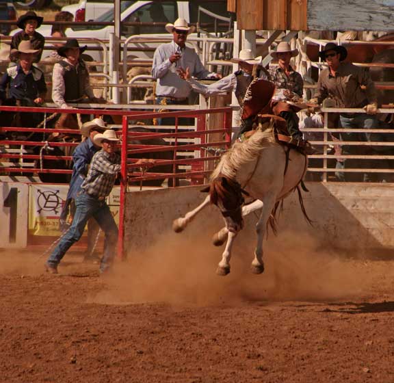 Sonoita Rodeo photo by Carl Sparfeld