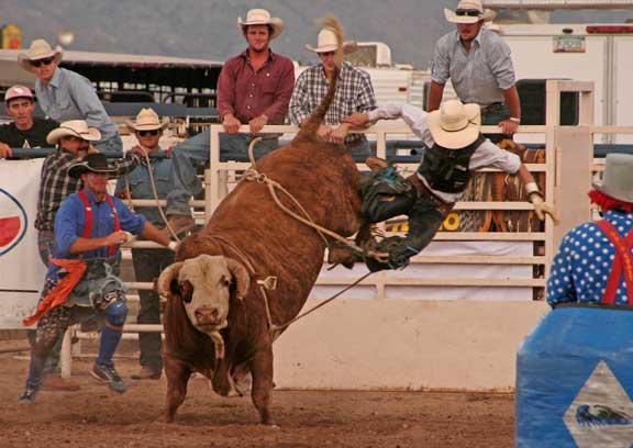 Rex Allen Days photo by Carl Sparfeld
