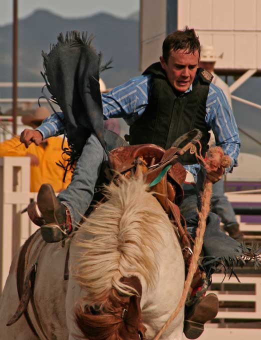 Rex Allen Days Carl Sparfeld
