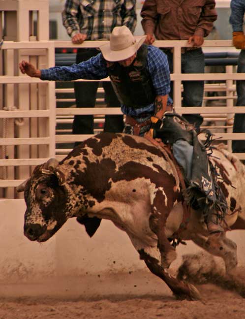 Rex Allen Days Carl Sparfeld