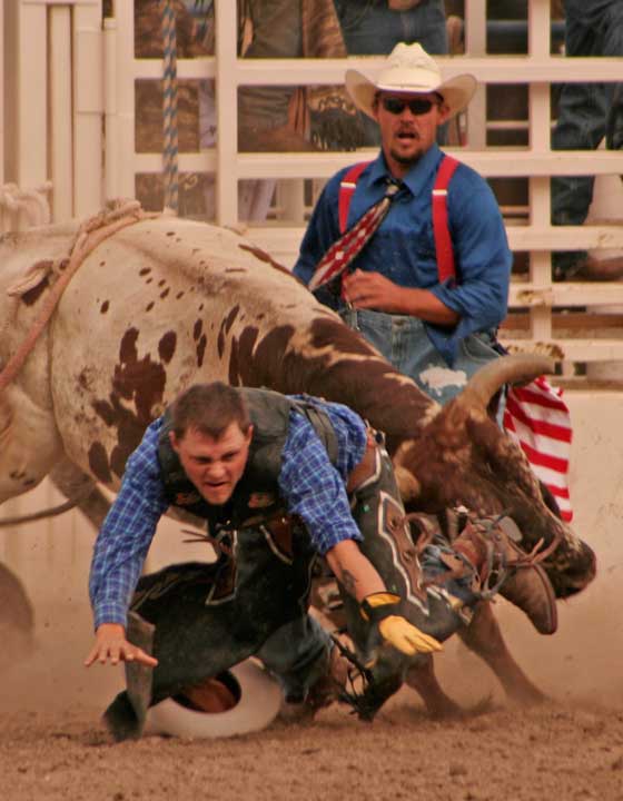 Rex Allen Days Carl Sparfeld