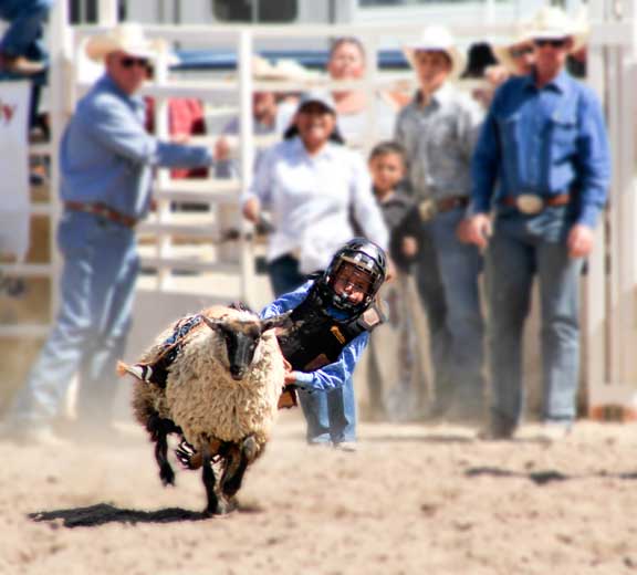 Rex Allen Days Carl Sparfeld