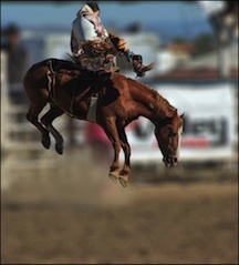 Rex Allen Days Carl Sparfeld