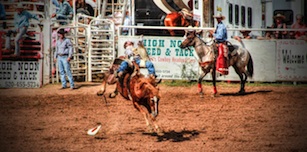 Sonoita Rodeo