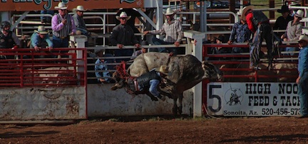 SOnoita Rodeo