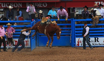 Tucson Rodeo 2015