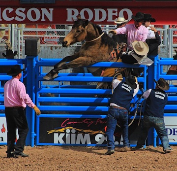 Tucson Rodeo 2015