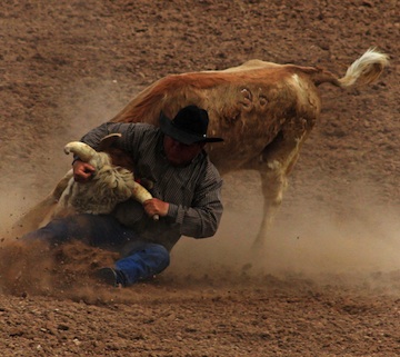 Tucson Rodeo 2015