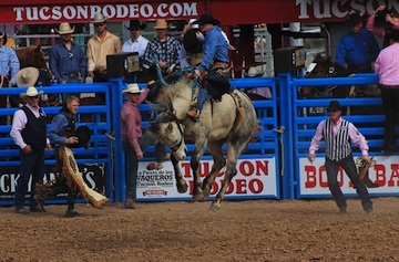 Tucson Rodeo 2015