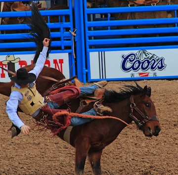 Tucson Rodeo 2015