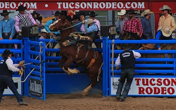 Tucson Rodeo 2015