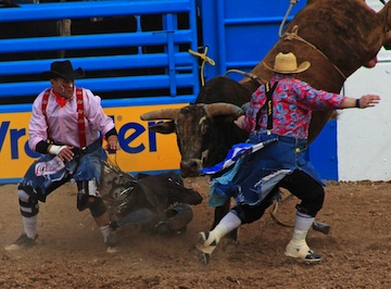 Tucson Rodeo 2015