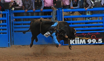 Tucson Rodeo 2015