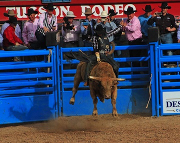 Tucson Rodeo 2015