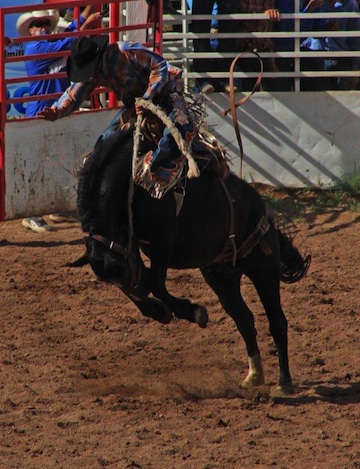 Sonoita Rodeo photo by Carl Sparfeld