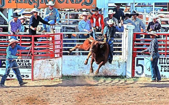 Sonoita Rodeo photo by Carl Sparfeld