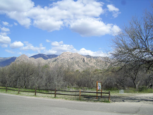 Catalina State Park, Tucson, Arizona