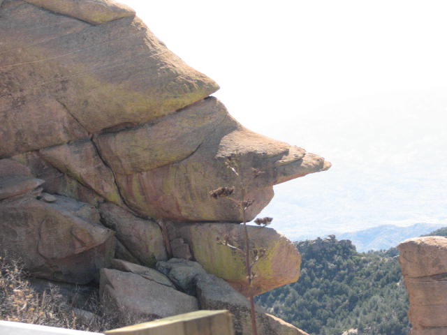 Tucson Mt. Lemmon Nixon-head rock