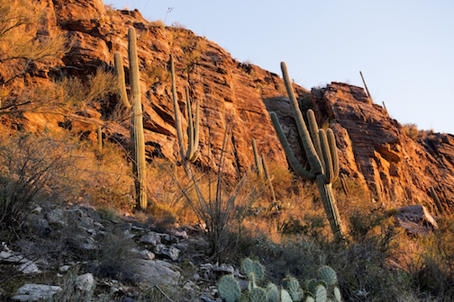 Finger Rock by Chad E. Might