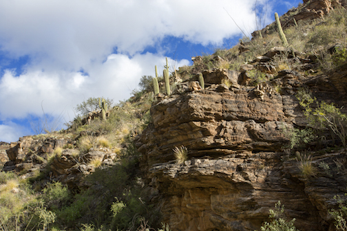 Finger Rock by Chad E. Might