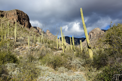 Finger Rock by Chad E. Might