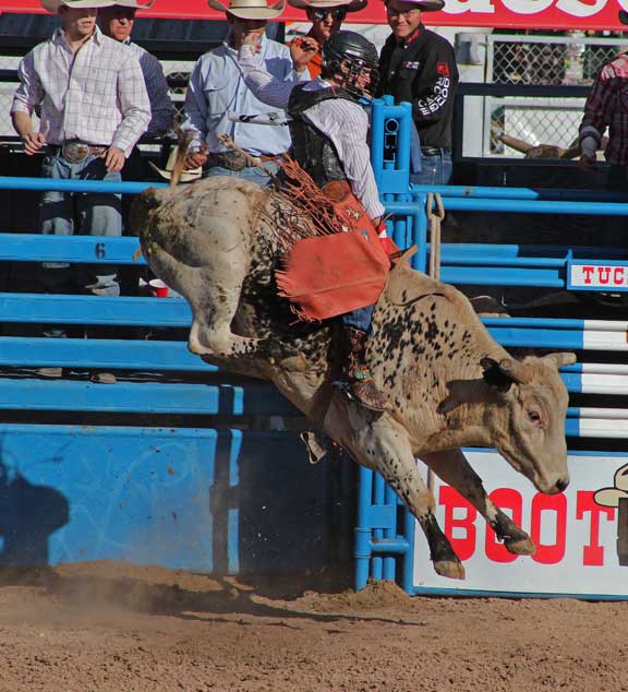Tucson Rodeo Carl H. Sparfeld