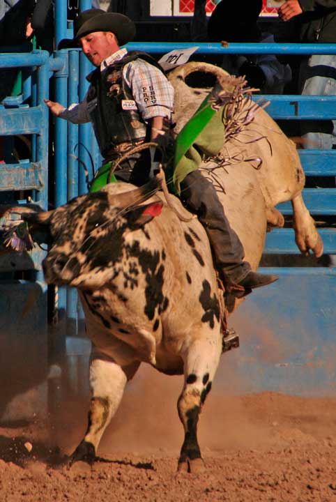 Tucson Rodeo Carl H. Sparfeld