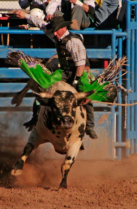 Tucson Rodeo Carl H. Sparfeld