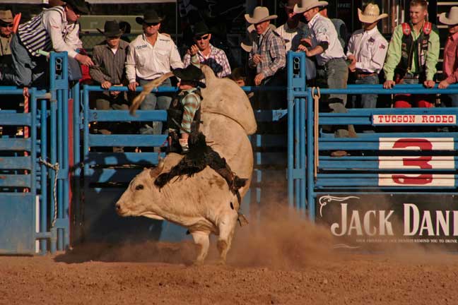 Tucson Rodeo Carl H. Sparfeld